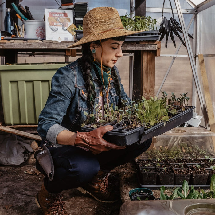 Person holding a tray of seedlings in a greenhouse setting