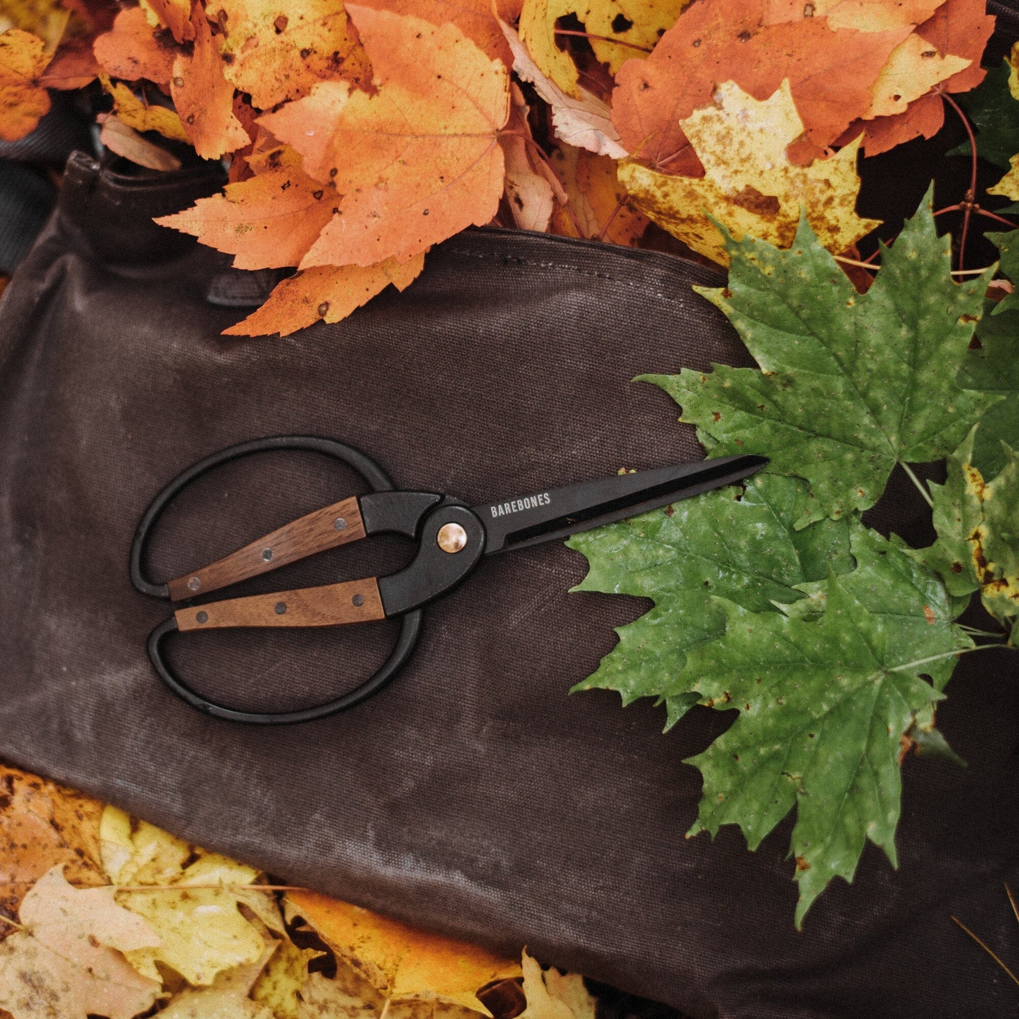 Barebones Garden Scissors - Walnut — Urban Kit Supply