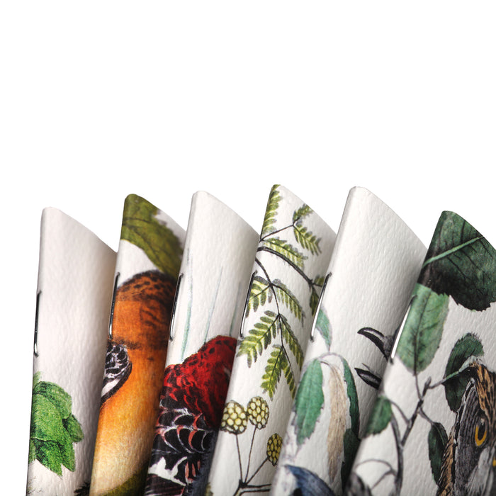 Field Notes The Birds and Trees of North America (3-pack)