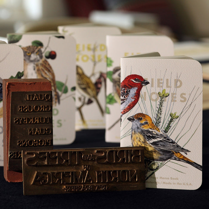 Field Notes The Birds and Trees of North America (3-pack)