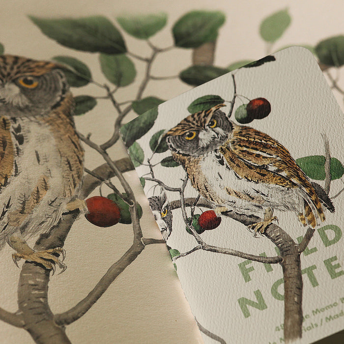 Field Notes The Birds and Trees of North America (3-pack)