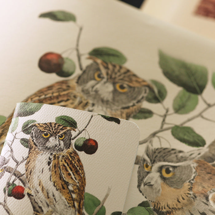 Field Notes The Birds and Trees of North America (3-pack)