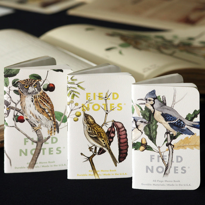 Field Notes The Birds and Trees of North America (3-pack)