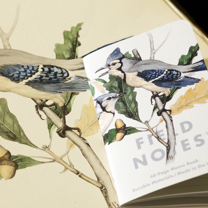 Field Notes The Birds and Trees of North America (3-pack)
