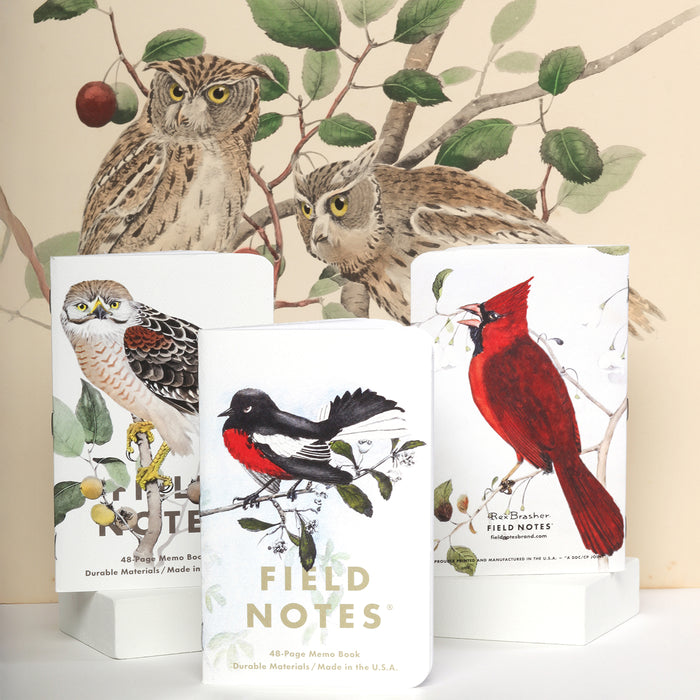 Field Notes The Birds and Trees of North America (3-pack)
