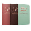 Field Notes Lucky muistivihko (3-pack)