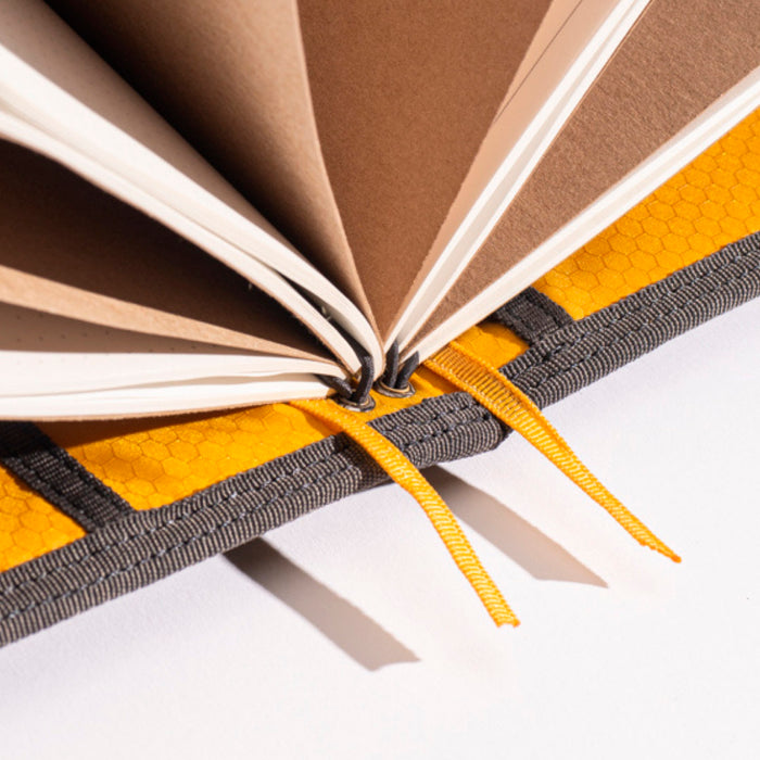 Lochby Field Journal