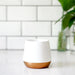 Fellow Joey Double Wall Ceramic Mugs - Urban Kit Supply